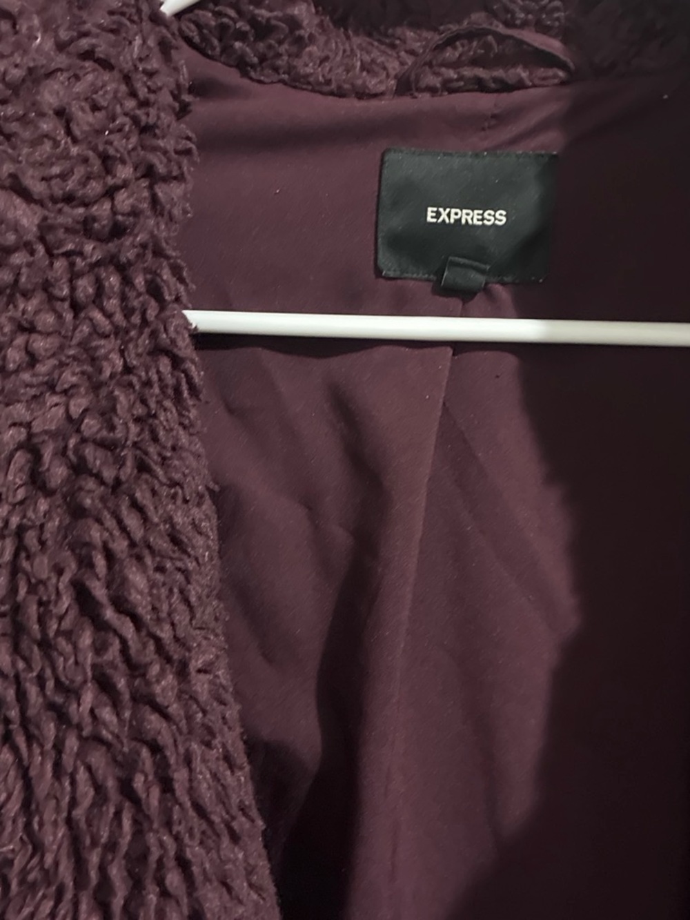 Express Plush Teddy Coat in Plum